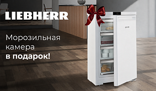 Морозильная камера в подарок!